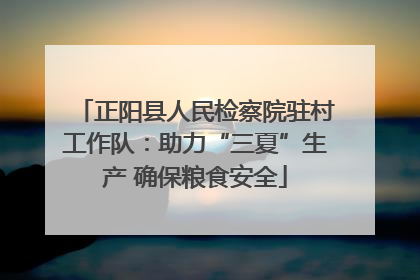 正阳县人民检察院驻村工作队：助力“三夏”生产 确保粮食安全