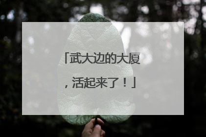 武大边的大厦，活起来了！