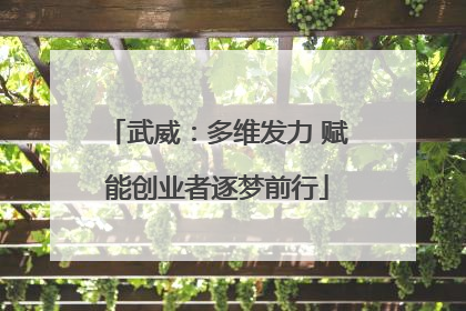 武威：多维发力 赋能创业者逐梦前行
