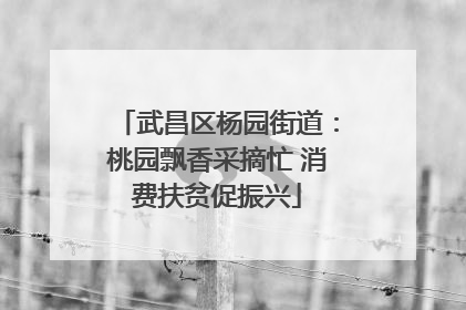 武昌区杨园街道：桃园飘香采摘忙 消费扶贫促振兴