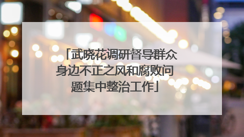 武晓花调研督导群众身边不正之风和腐败问题集中整治工作