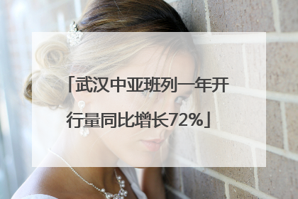 武汉中亚班列一年开行量同比增长72%