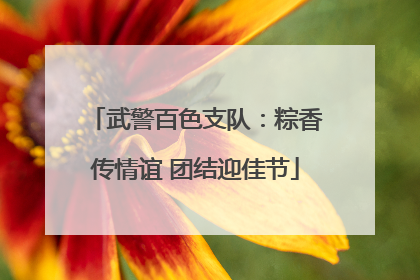 武警百色支队：粽香传情谊 团结迎佳节