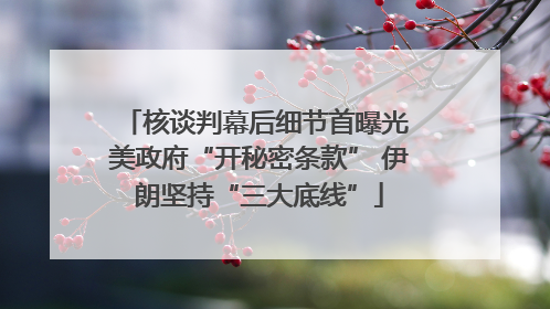 核谈判幕后细节首曝光 美政府“开秘密条款” 伊朗坚持“三大底线”