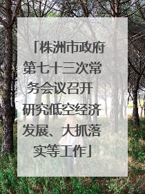 株洲市政府第七十三次常务会议召开 研究低空经济发展、大抓落实等工作