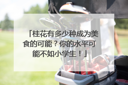 桂花有多少种成为美食的可能？你的水平可能不如小学生！
