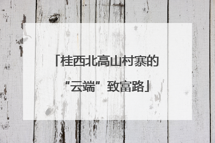 桂西北高山村寨的“云端”致富路