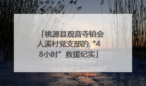 桃源县观音寺镇会人溪村党支部的“48小时”救援纪实