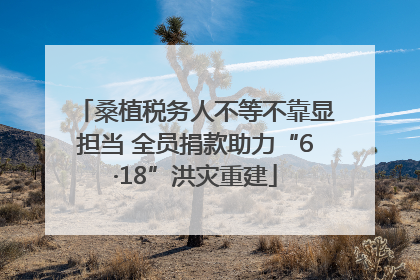 桑植税务人不等不靠显担当 全员捐款助力“6·18”洪灾重建