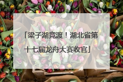 梁子湖竞渡！湖北省第十七届龙舟大赛收官