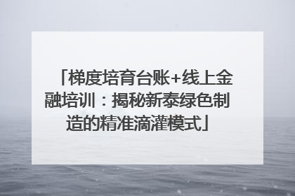 梯度培育台账+线上金融培训：揭秘新泰绿色制造的精准滴灌模式