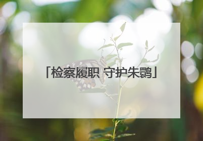 检察履职 守护朱鹮