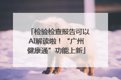 检验检查报告可以AI解读啦！“广州健康通”功能上新