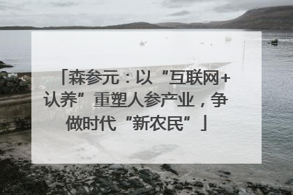 森参元：以“互联网+认养”重塑人参产业，争做时代“新农民”