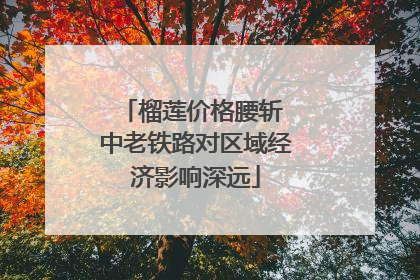 榴莲价格腰斩 中老铁路对区域经济影响深远