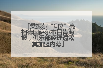 樊振东“C位”亮相德国萨尔布吕肯海报，俱乐部经理透露其加盟内幕