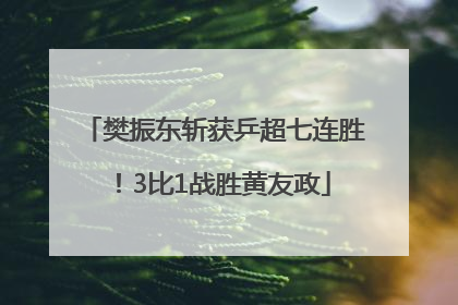 樊振东斩获乒超七连胜！3比1战胜黄友政