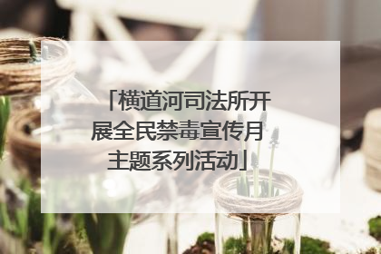 横道河司法所开展全民禁毒宣传月主题系列活动