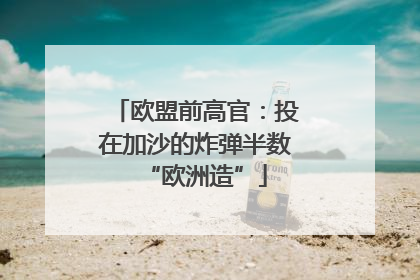欧盟前高官：投在加沙的炸弹半数“欧洲造”