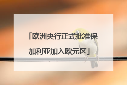 欧洲央行正式批准保加利亚加入欧元区