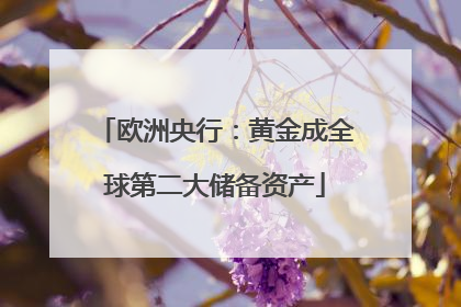 欧洲央行：黄金成全球第二大储备资产