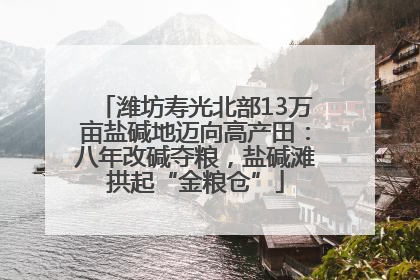 潍坊寿光北部13万亩盐碱地迈向高产田：八年改碱夺粮，盐碱滩拱起“金粮仓”