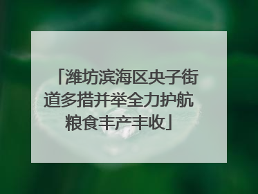 潍坊滨海区央子街道多措并举全力护航粮食丰产丰收