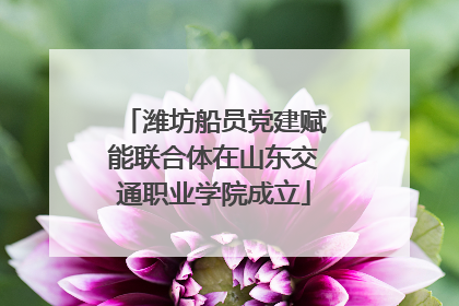 潍坊船员党建赋能联合体在山东交通职业学院成立
