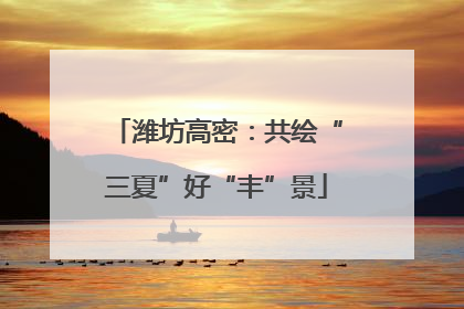 潍坊高密：共绘“三夏”好“丰”景