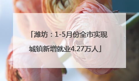 潍坊：1-5月份全市实现城镇新增就业4.27万人