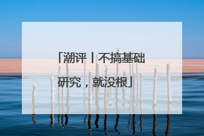 潮评丨不搞基础研究，就没根