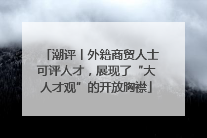 潮评丨外籍商贸人士可评人才，展现了“大人才观”的开放胸襟