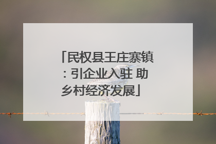 民权县王庄寨镇：引企业入驻 助乡村经济发展