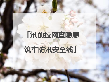汛前拉网查隐患 筑牢防汛安全线