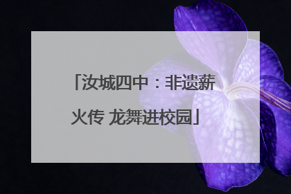 汝城四中：非遗薪火传 龙舞进校园