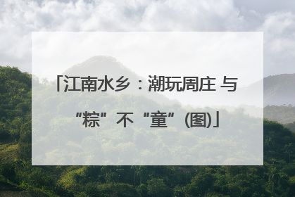 江南水乡：潮玩周庄 与“粽”不“童”(图)