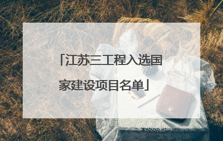江苏三工程入选国家建设项目名单