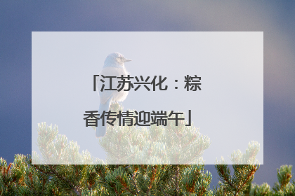 江苏兴化：粽香传情迎端午