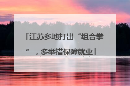 江苏多地打出“组合拳”，多举措保障就业