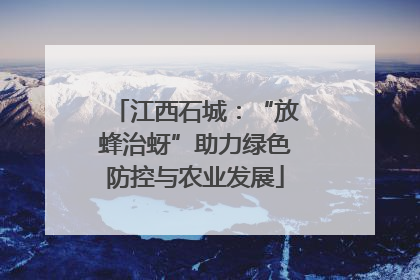 江西石城：“放蜂治蚜”助力绿色防控与农业发展
