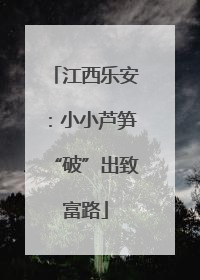 江西乐安：小小芦笋“破”出致富路