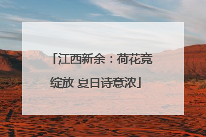 江西新余：荷花竞绽放 夏日诗意浓