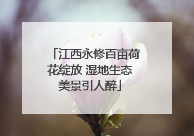 江西永修百亩荷花绽放 湿地生态美景引人醉