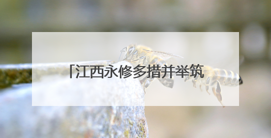 江西永修多措并举筑牢防汛“安全网”