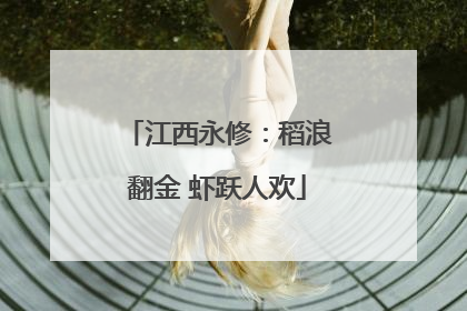 江西永修：稻浪翻金 虾跃人欢