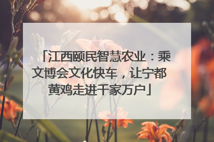 江西颐民智慧农业：乘文博会文化快车，让宁都黄鸡走进千家万户