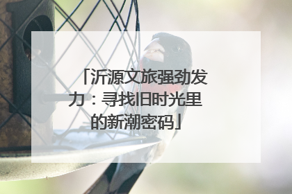沂源文旅强劲发力：寻找旧时光里的新潮密码