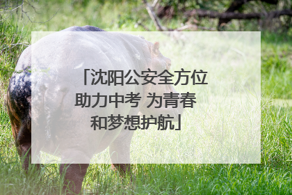 沈阳公安全方位助力中考 为青春和梦想护航