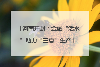 河南开封：金融“活水”助力“三夏”生产