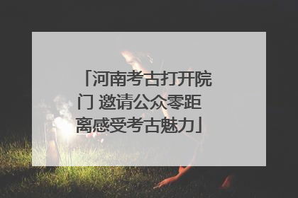 河南考古打开院门 邀请公众零距离感受考古魅力
